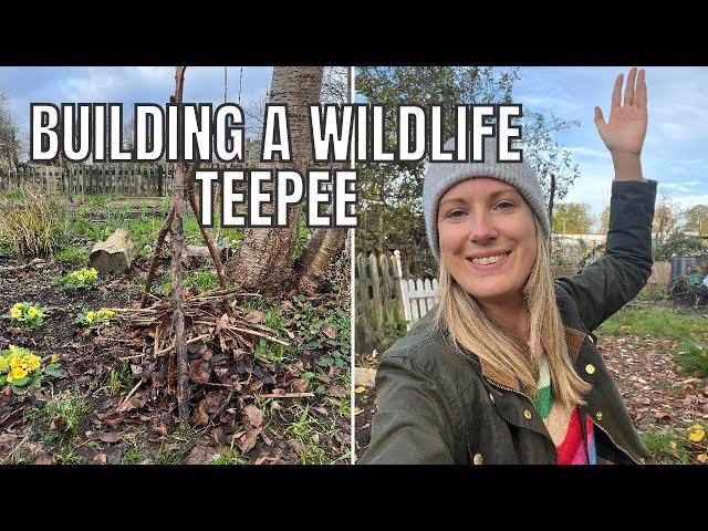 HELPING ALLOTMENT WILDLIFE / ALLOTMENT GARDENING UK