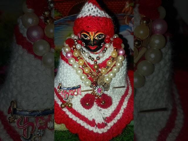 Naye sal per laddu Gopal se Aashirwad kaise len