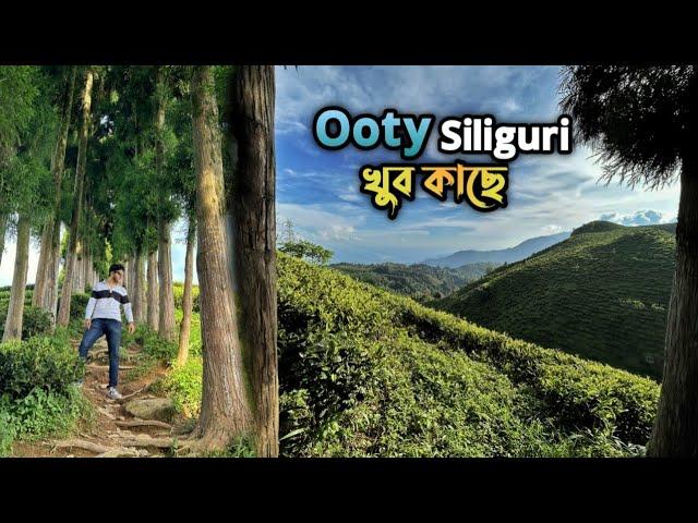 Best Offbeat Place near Siliguri || এটা হলো North Bengal র Ooty যেটা Siliguri খুব কাছে