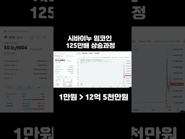 시바이누 밈코인 1만원이 12억이 되는과정. #shorts #밈코인