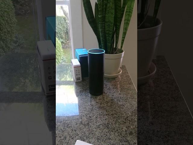 Alexa reading you your text messages demo