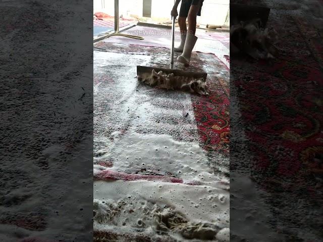 foam scraping  #satisfying #rugcleaning #asmr