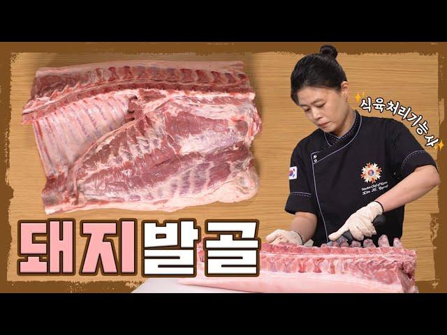 [킹능장클라스] '식육처리기능사'의 돼지고기 몸통 발골+손질!ㅣButchering Pork Belly