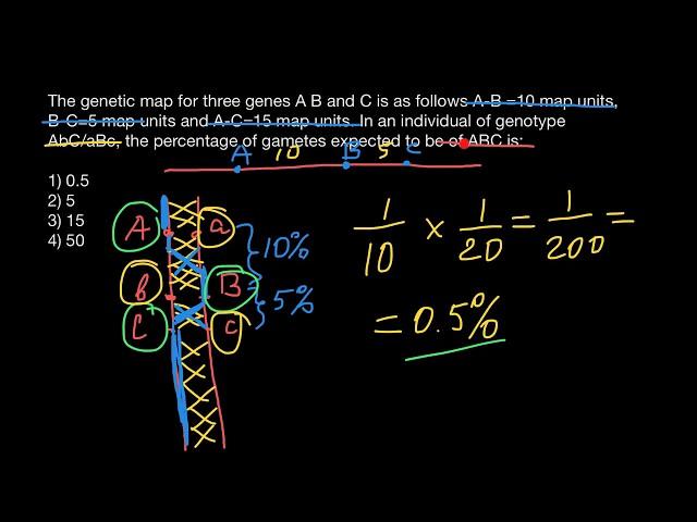 How to solve problems with crossing over, map units and centiMorgans