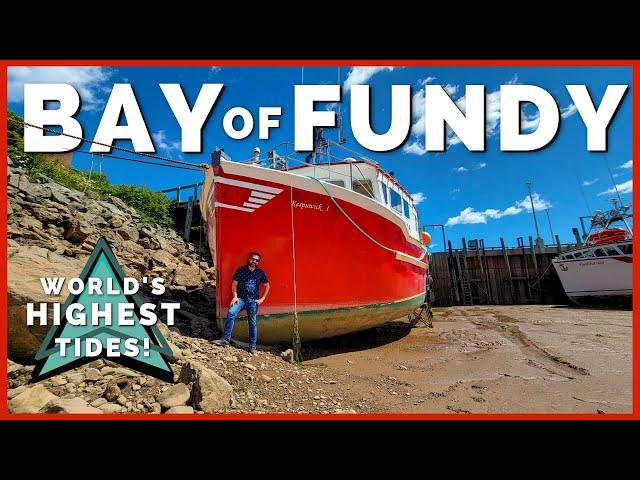  Bay of Fundy Tides are INCREDIBLE! Where to See World's Highest Tides | Newstates, eh?  Ep. 10