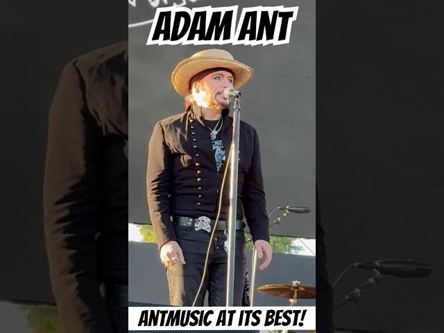 #adamant #rock #newwave #postpunk #amazing #concert #mustwatch #concert #music #likeandsubscribe