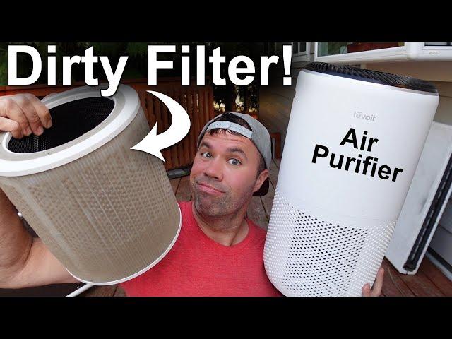 How To Clean Air Purifier Filters (HEPA - Levoit)