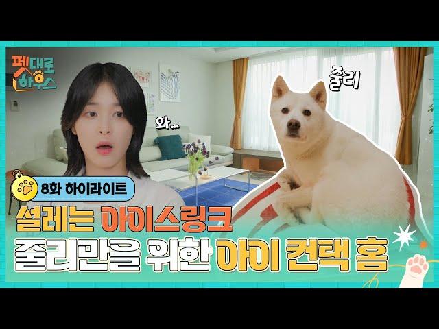 [#펫대로하우스] 교감과 공존! 오래오래 행복할 설집사와 줄리를 위한 아이 컨택홈| 8회 하이라이트