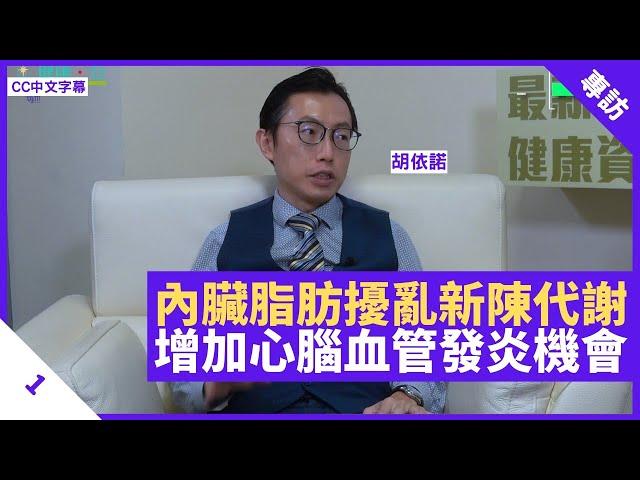 內臟脂肪毒素擾亂新陳代謝 增加心血管發炎機會 女士臀部肥胖毋需擔心 - 鄭丹瑞《健康旦》內分泌及糖尿科專科醫生 #胡依諾 Part 1 (CC中文字幕)