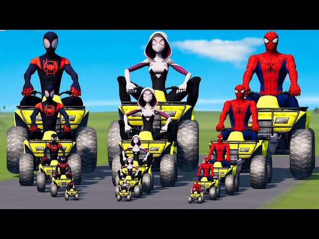 Big & Small Spider-Man Miles Morales vs Spider-Gwen vs Spider-Man on Quad Bike vs Venom BeamNG.Drive