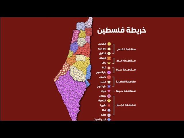 مساحة فلسطين التاريخية وأهم مدنها