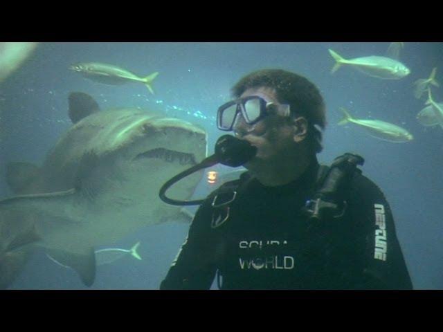 Tourism Queensland - Sunshine Coast