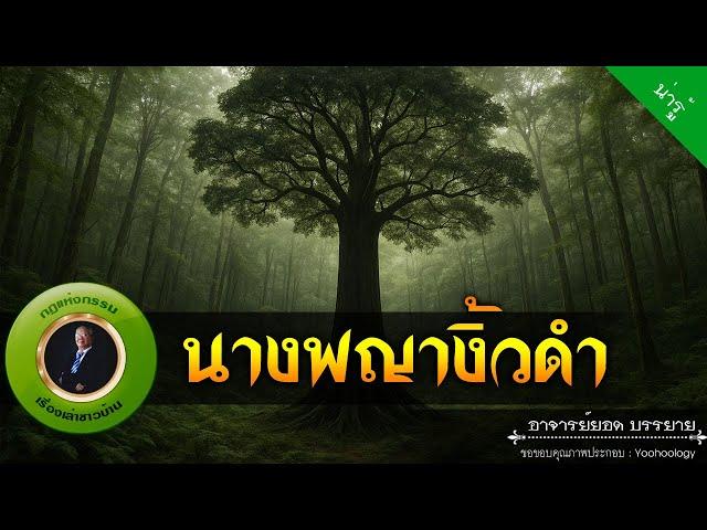 อาจารย์ยอด : นางพญางิ้วดำ [น่ารู้]