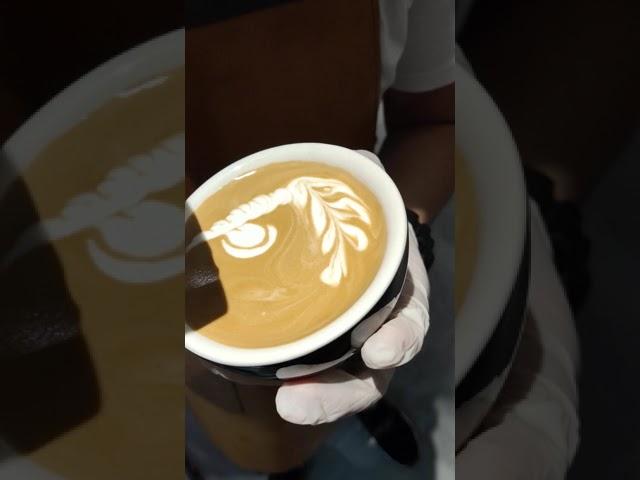 latte art rabbit