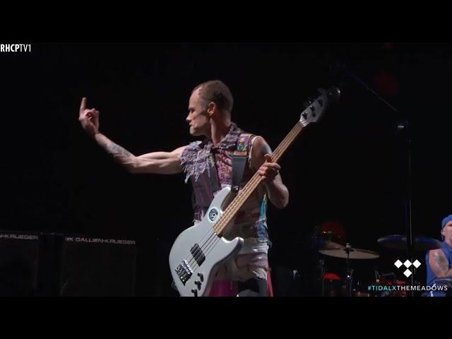 Flea Gets Angry With His Bass Tech!