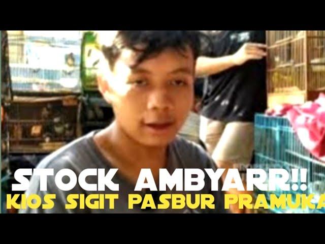 stock ambyarr!! kios sigit pasbur pramuka.