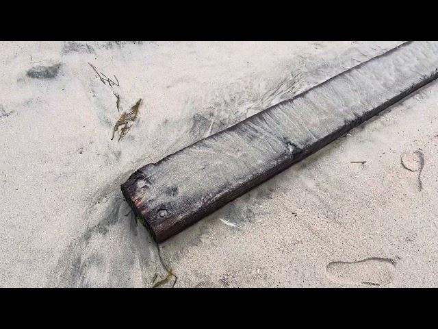 Beach Metal detecting another strange day