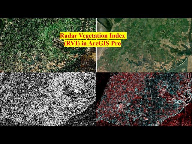 Radar vegetation Index in ArcGISPro