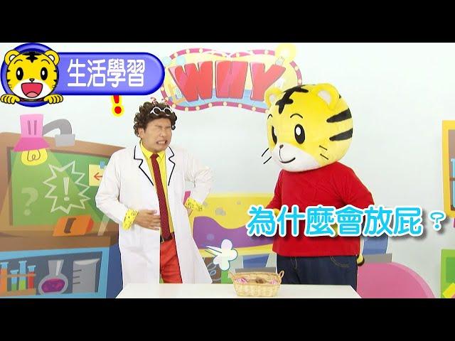 巧連智【生活中的為什麼】為什麼會放屁？