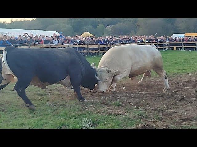 Jablan Nusret Sido vs Garci Milan Jukić udarna Rasko Polje