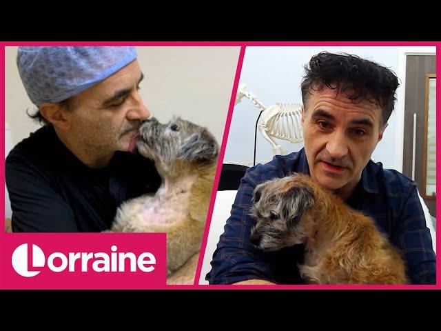 Noel Fitzpatrick Shares Incredible Story of Saving His Dog's Life After Being Hit by a Van |Lorraine