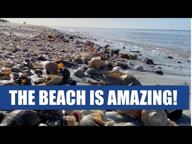 ​​Why is the beach awesome? I'll show you 41 reasons the beach is amazing!