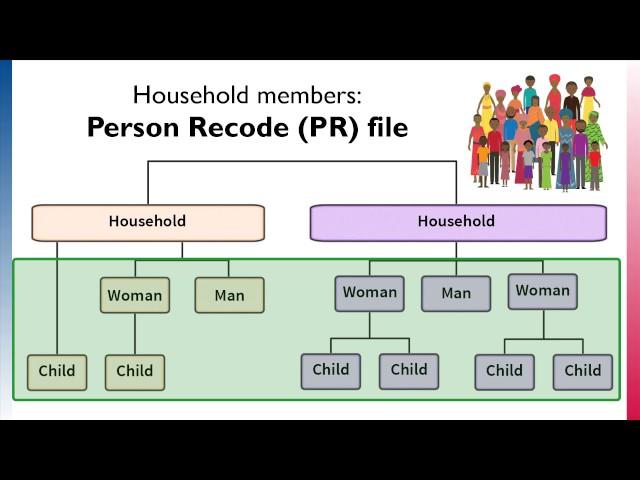 Introduction to DHS Data Structure