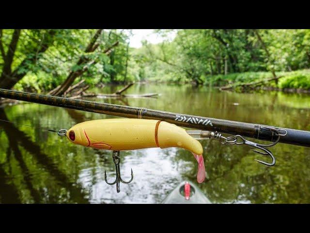 Whopper Plopper 130 | What Will EAT IT?!? | Michigan River Fishing