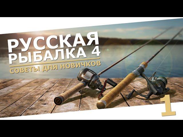 РУССКАЯ РЫБАЛКА 4 - Советы для новичков, как играть в 2024 / Стрим 1