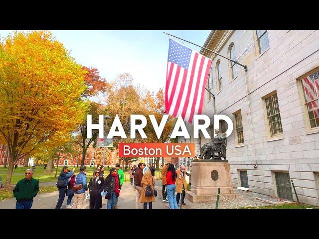 HARVARD UNIVERSITY Campus Tour 2024 4K| Walking Tour Harvard University, Boston, Massachusetts USA