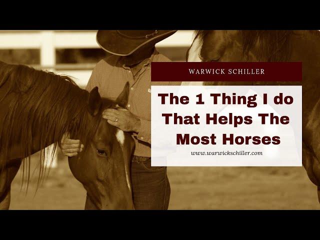 The one thing I do that helps the most horses