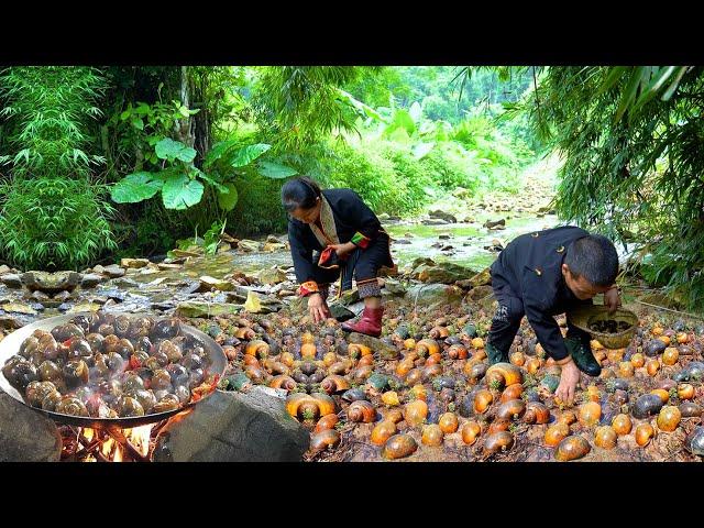 Dwarf Family Catching Snails and Snail Dishes | Rescue Turtle Laying Eggs | Harvesting Joy