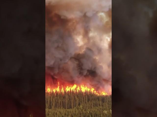 Canada Wildfires Lead to Air-Quality Alerts in Northeastern US