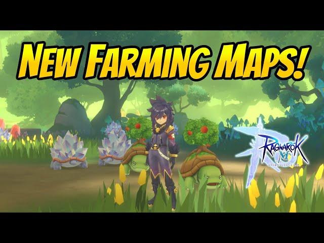 Sneak Peek: Farming the New Alberta Maps! My Upcoming Farming Strategy | Ragnarok Mobile