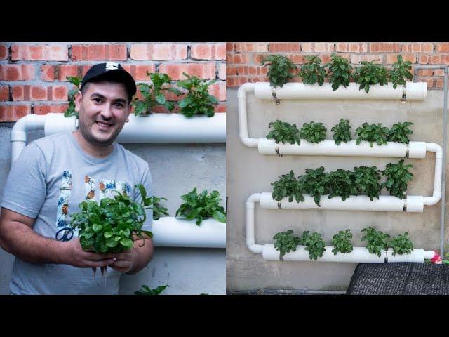 How To Make inexpensive Hydroponic System and start Hydroponics Garden  At home 2021.