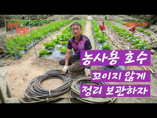 농사용 호수 꼬이지 않게 정리 보관하기.Farming lakes. Keeping them clean so that they don't get twisted.