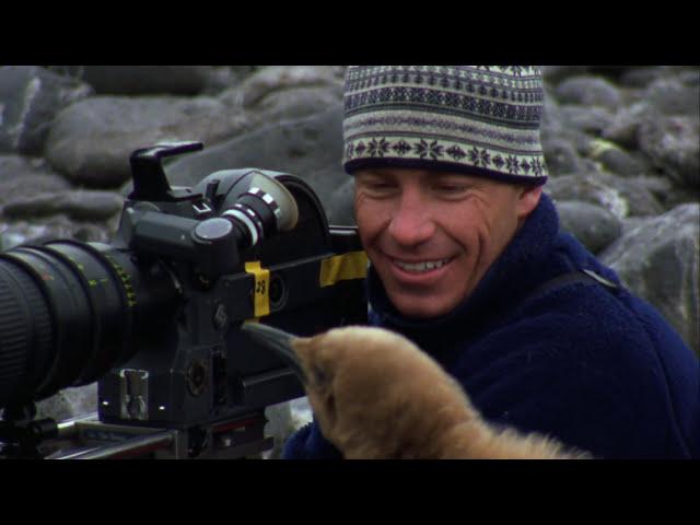 Wildest beasts on Earth: Killer Whale | Documentary