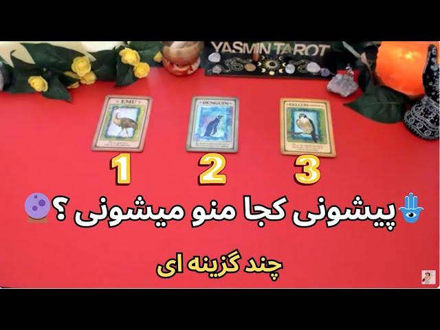 Yasmin Tarot  پیشونی کجا منو میشونی ؟ از زبان عزیزان رفته و فرشتگان پاک