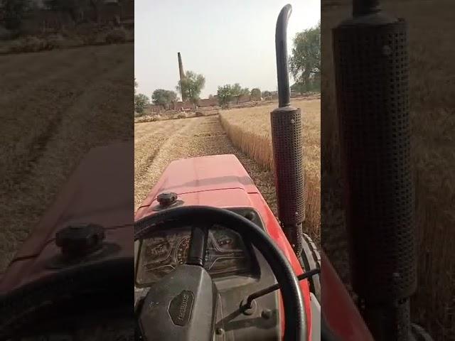 Gehu Cutting repaer. ....#ytshorts #rupesh #farmer #trending #machine #mechanic #agriculture