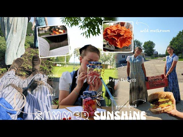 abundance of work & relaxation in the summer sunshine | peas, picnic, strawberries etc. vlog 203