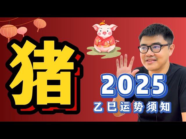 冲太岁也可以是好事？今年需要高度觉察的"猪角"登场 | 2025乙巳年运势——【猪】Pig｜蛇年生肖运程 | 超详细完整解析