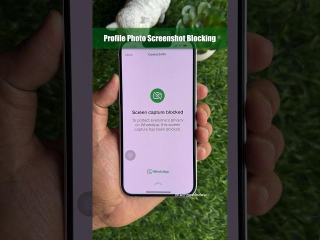 WhatsApp Profile Photo Screenshot Blocking (iOS Vs Android) #shorts #whatsapp