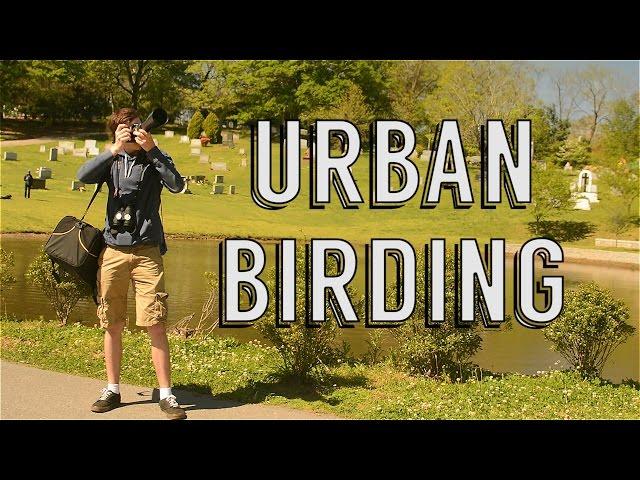 Urban Birding with Angus Pritchard