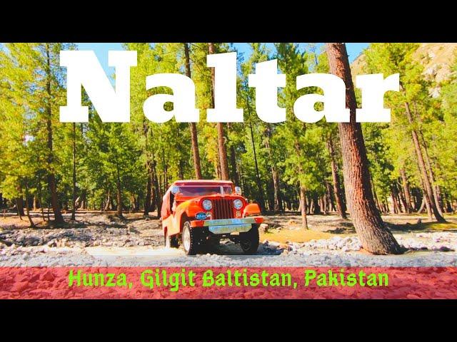 Jeep Safari Naltar Valley, Gilgit Baltistan Northern areas of Pakistan travel Urdu Vlog گلگت بلتستان