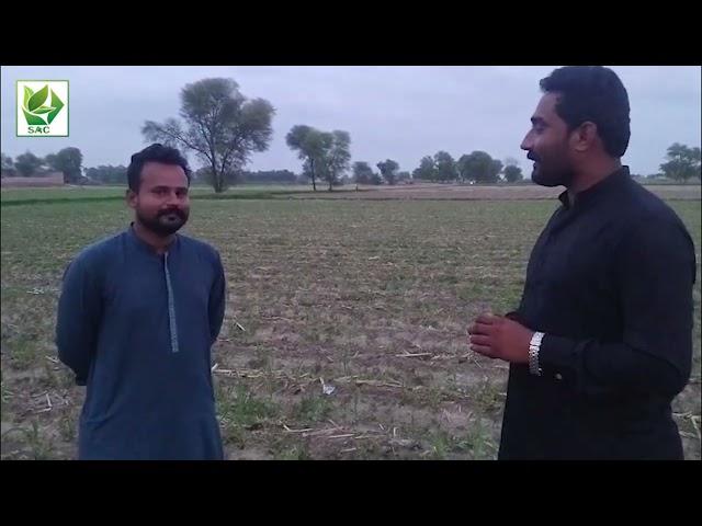 Farmer feedback use of Swat Agro Chemicals Product Ultrasol on Maize.