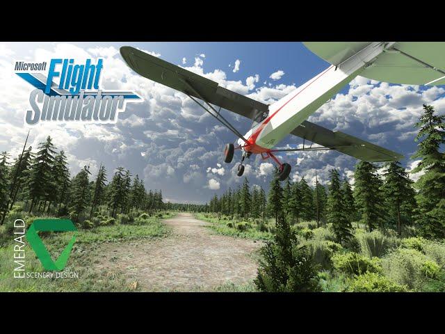 Building a Backcountry Airstrip | Progress Update! | MSFS 2020