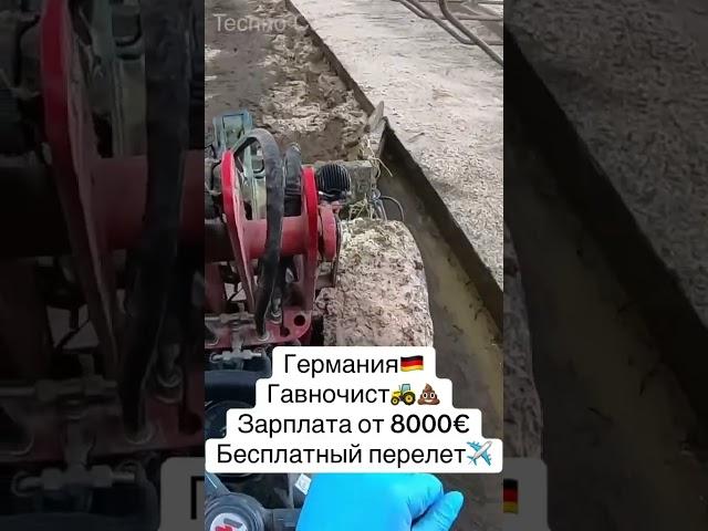 ПИШИТЕ ++ В КОММЕНТАРИИ #вакансии #работа