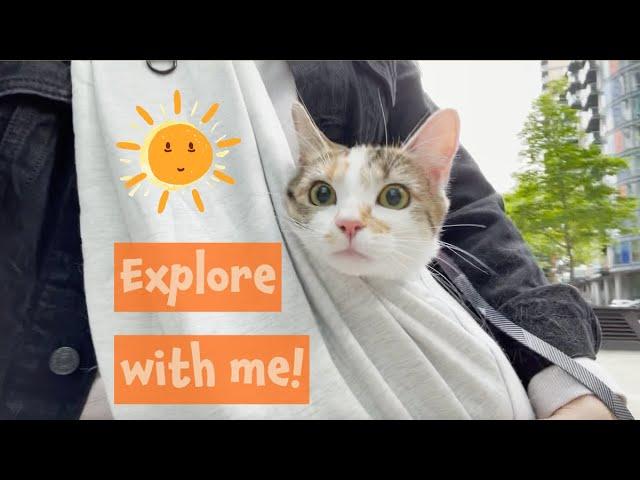 Quick Trip to Greenwich before I Decided to Rather Stay Home - Caturday Cat ASMR