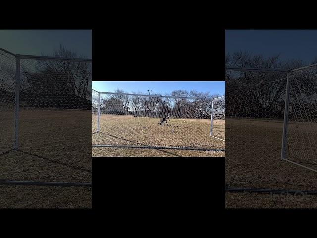Elevate Your Game Daily: #goalkeepertraining #gktraining