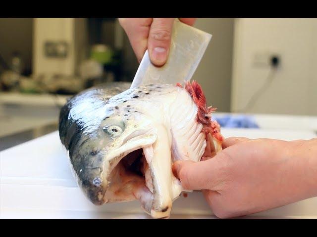 Japanese technique - How to fillet a whole salmon - 鮭のさばき方